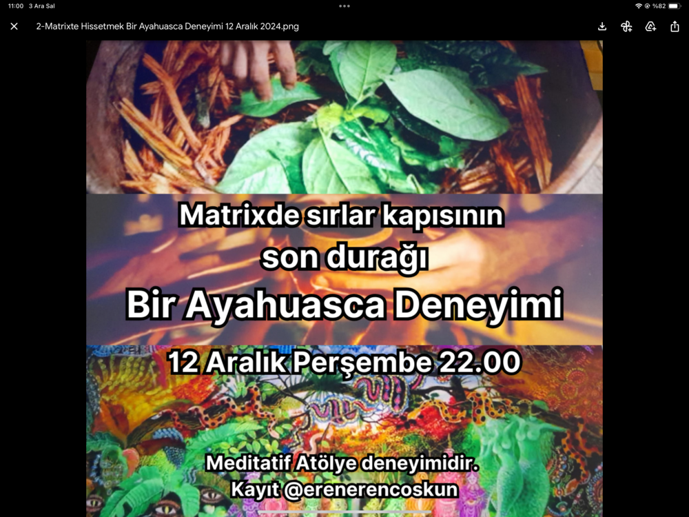 Ayahuasca Deneyimi Atölyesi