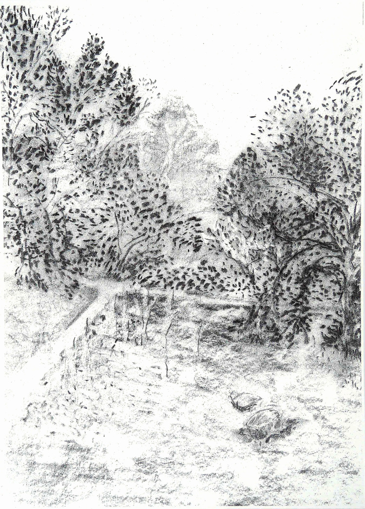 Zeytinlik