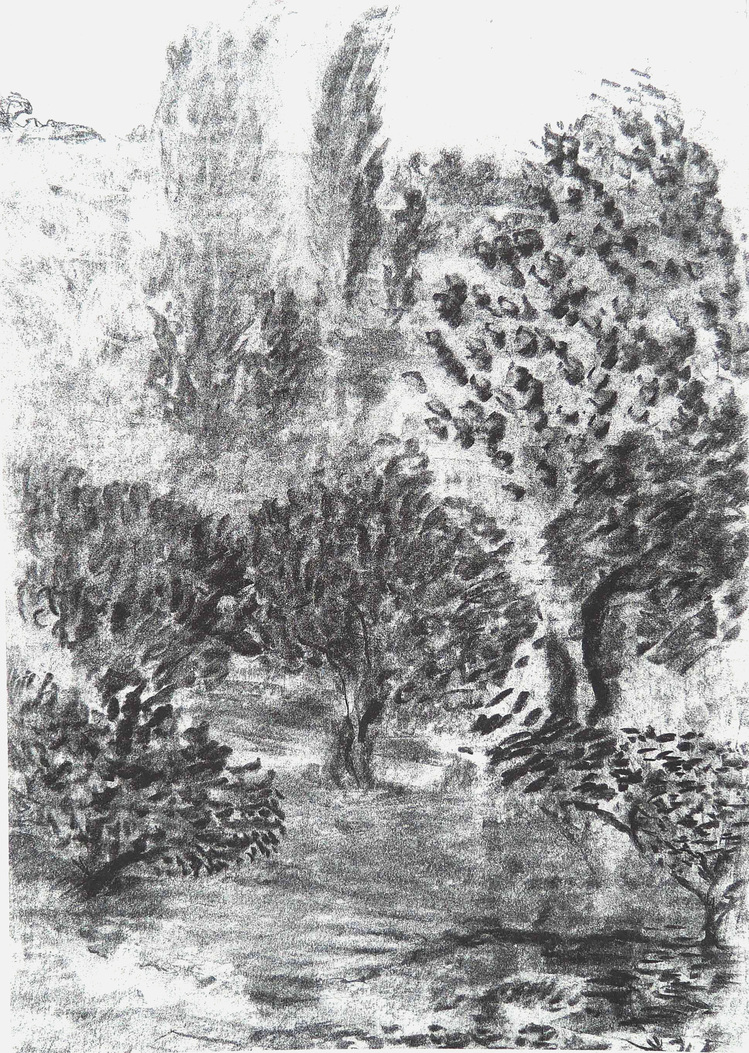 Zeytinlik