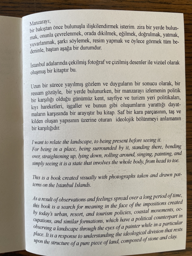Bir Bulunuş Olarak Manzara