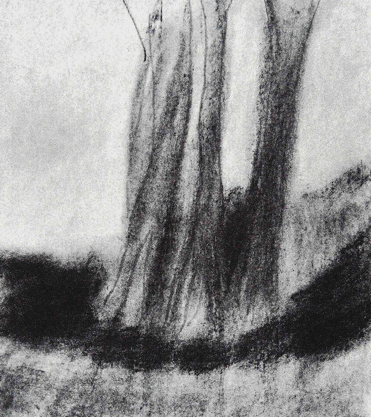 Ağaçlar / Trees