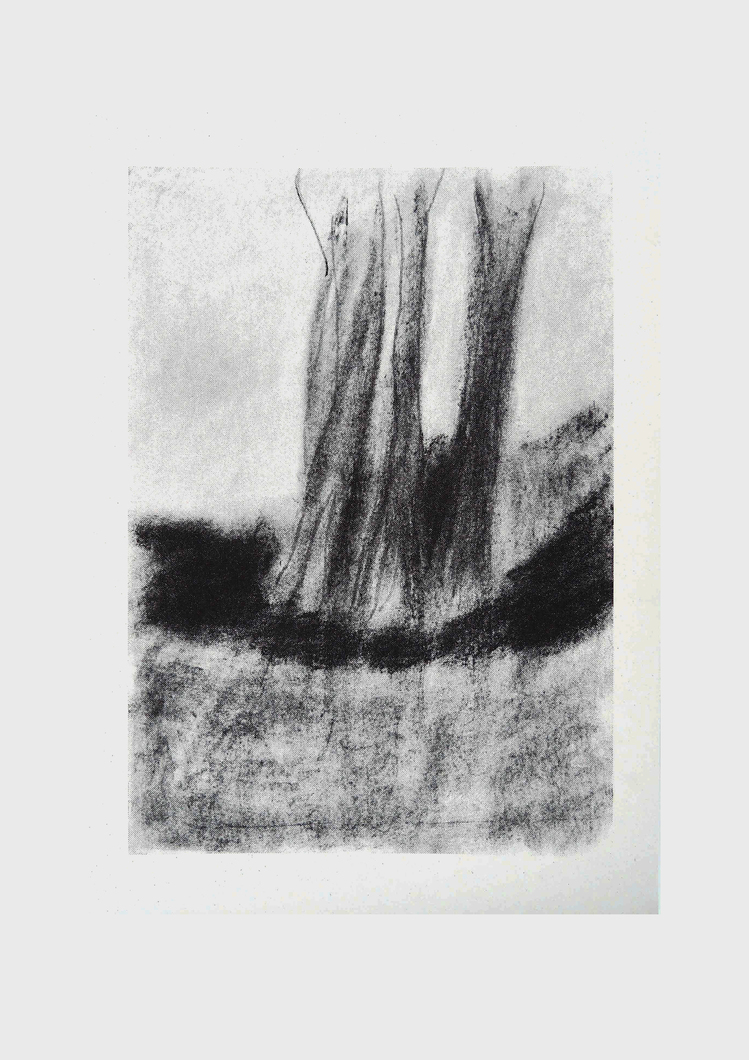 Ağaçlar / Trees