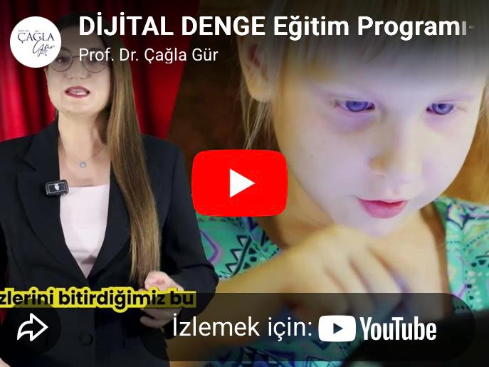 DİJİTAL DENGE PROGRAMI