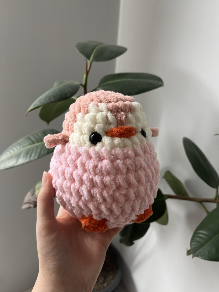 Pembe küçük boy penguen 