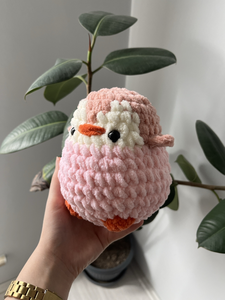 Pembe küçük boy penguen 