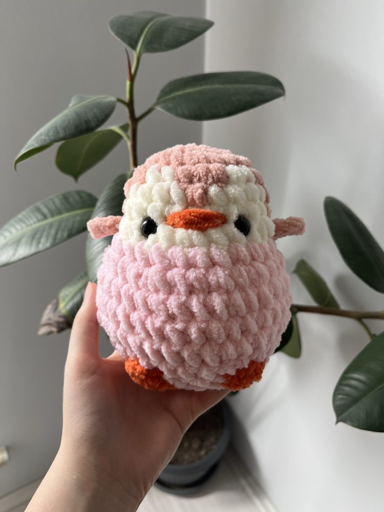 Pembe küçük boy penguen 