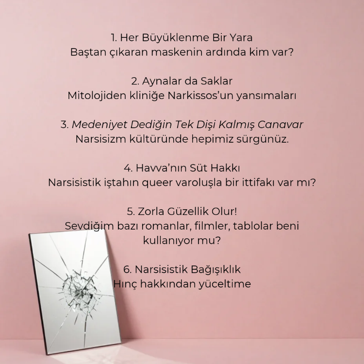 NARSİSİZMİN ANLATILARI
