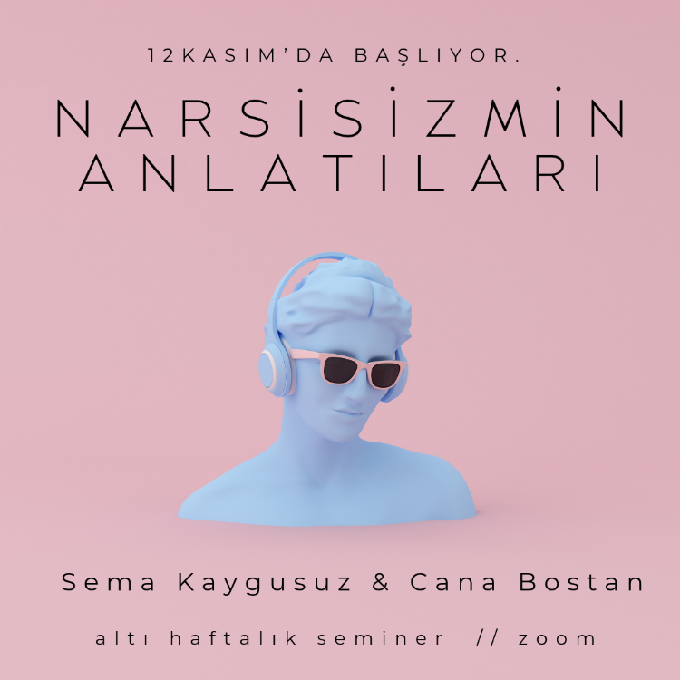 NARSİSİZMİN ANLATILARI