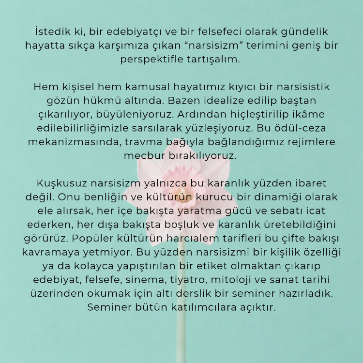 NARSİSİZMİN ANLATILARI