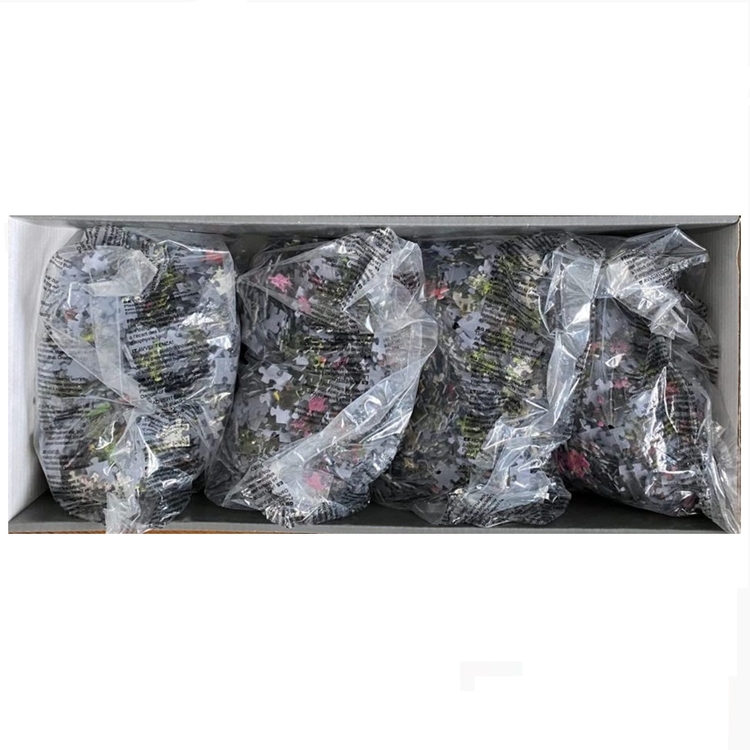 Heye''Bodnant Garden'' 6000 Parça