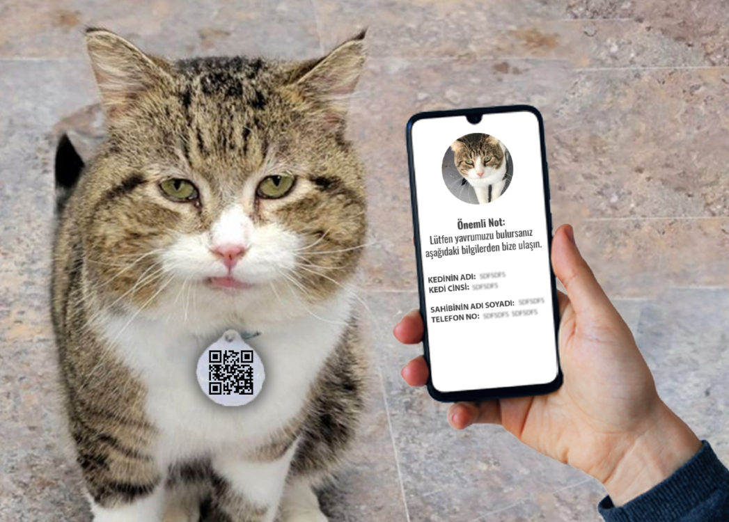QR Kedi Fiziksel Kedi Karekodu Hazır Ürün