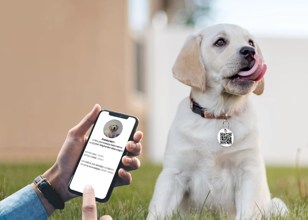 QR Köpek Fiziksel Köpek Karekodu Hazır Ürün