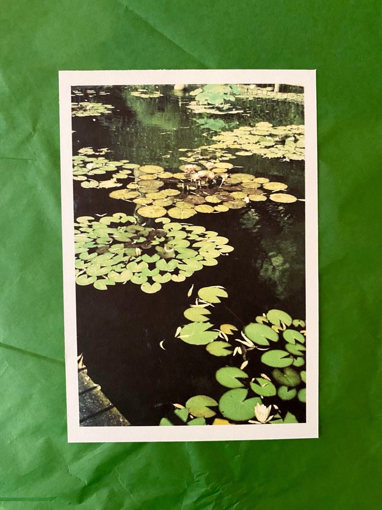 2’li film photo kartpostal set 