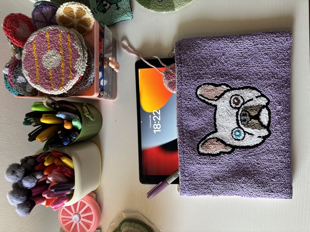 Ipad Bag