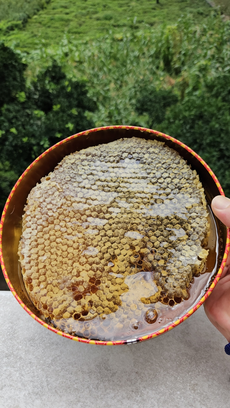KaraKovan Petekli Bal 1,5  Kg