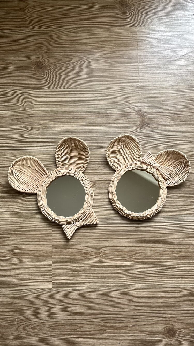 Minnie/Mickey Ayna