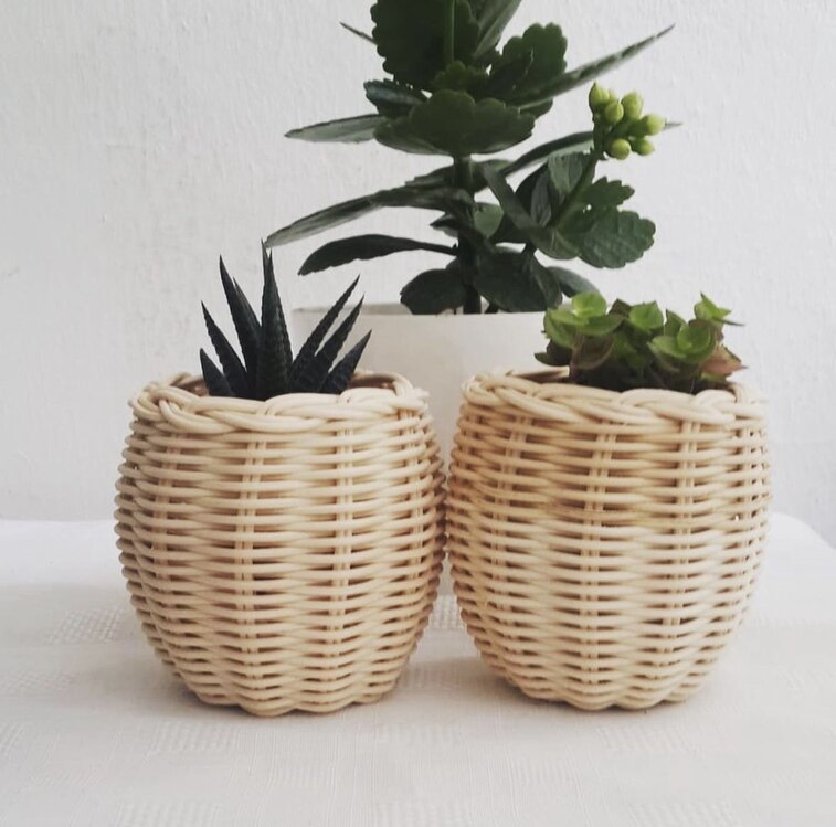 Mini Sukulent Saksı (2’li Set)
