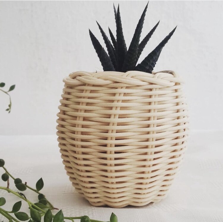 Mini Sukulent Saksı (2’li Set)