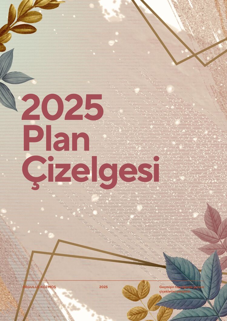 Regulus 2025 Plan Çizelgesi