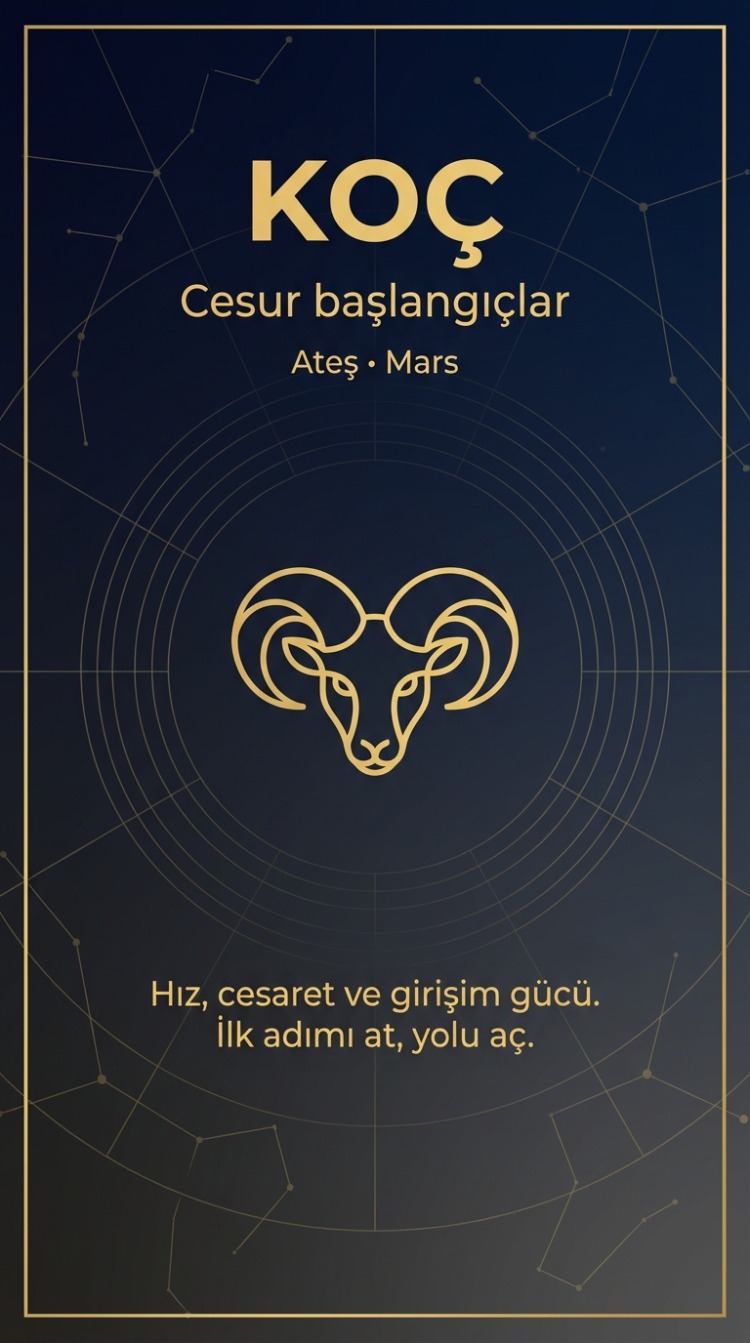 KOÇ BURCU Dengeleyici Vefk Kartı
