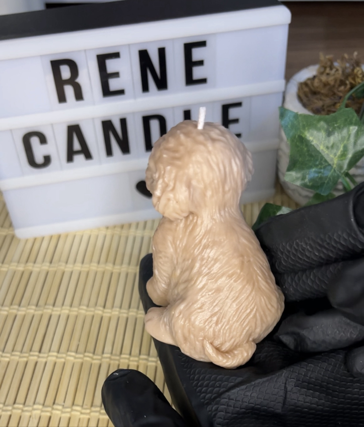 pofuduk köpek kokulu mum