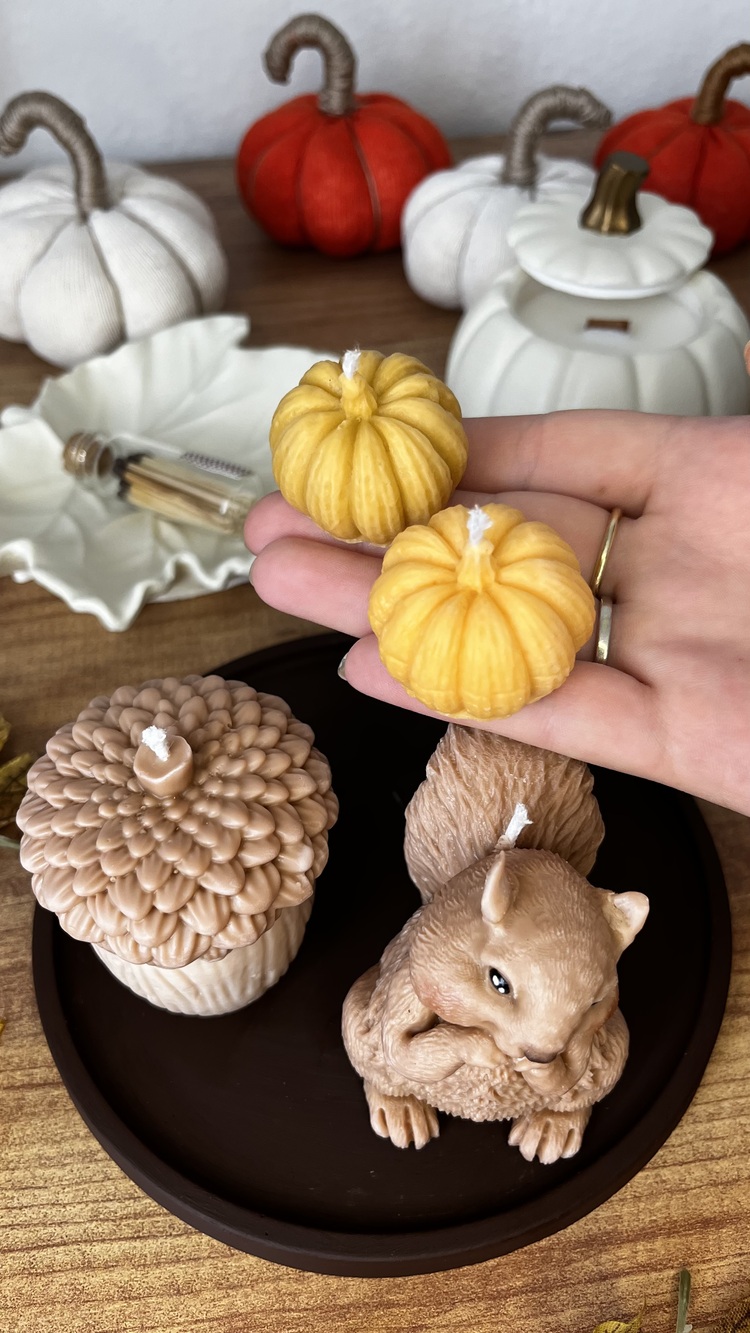 Mini balkabağı