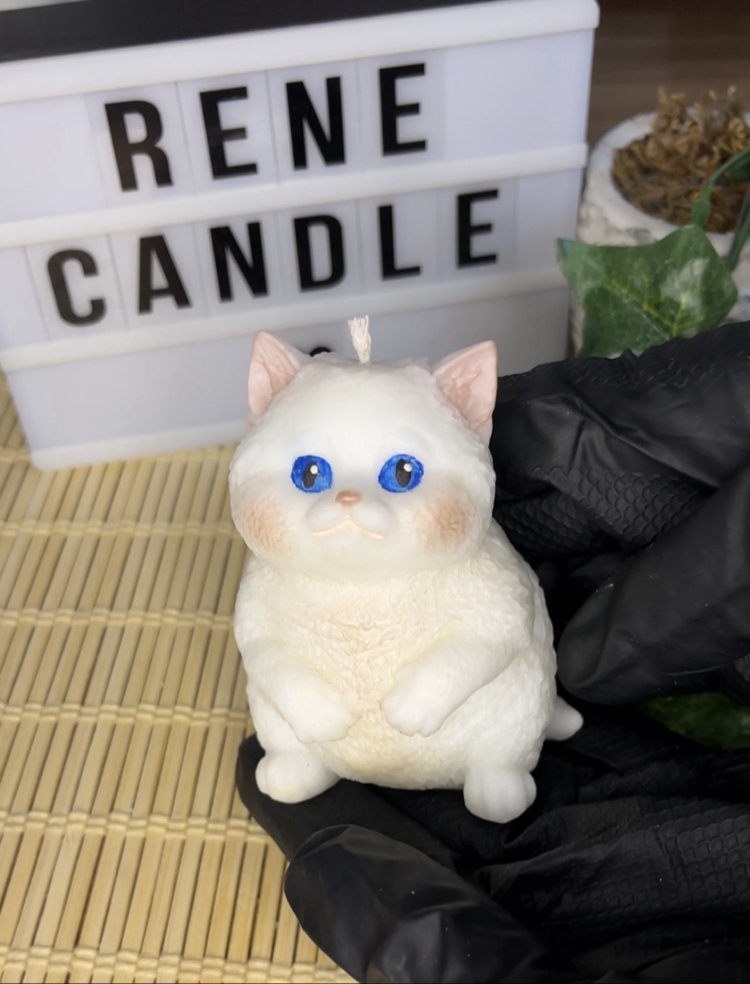 Maviş kedi kokulu mum