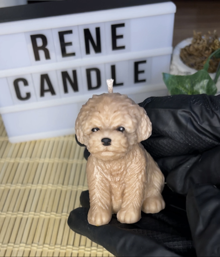 pofuduk köpek kokulu mum