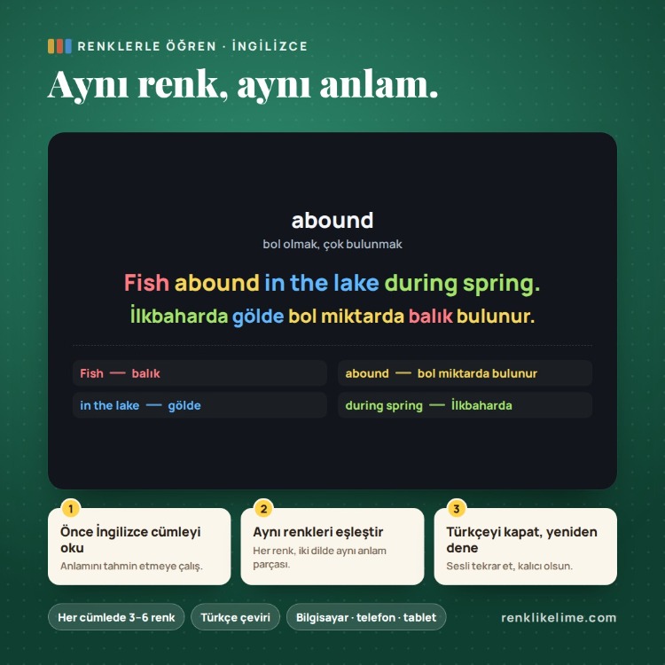 YDS–YÖKDİL Renkli Kelime PDF Seti | 3.898 Renkli Kelime