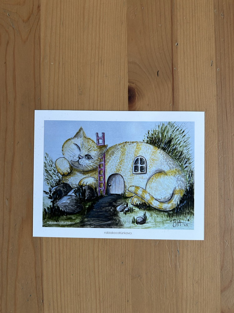 Cat House 