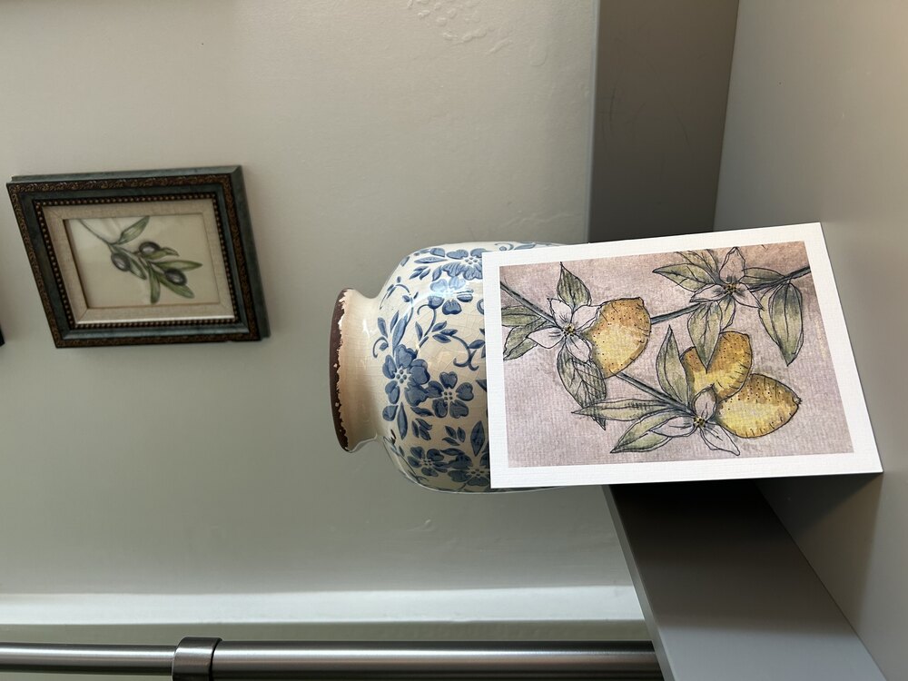 Lemon Garden / Kartpostal
