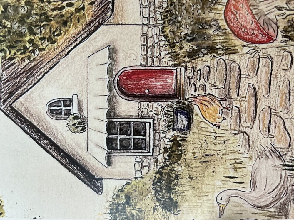 Küçük Kırmızı Ev / Kartpostal