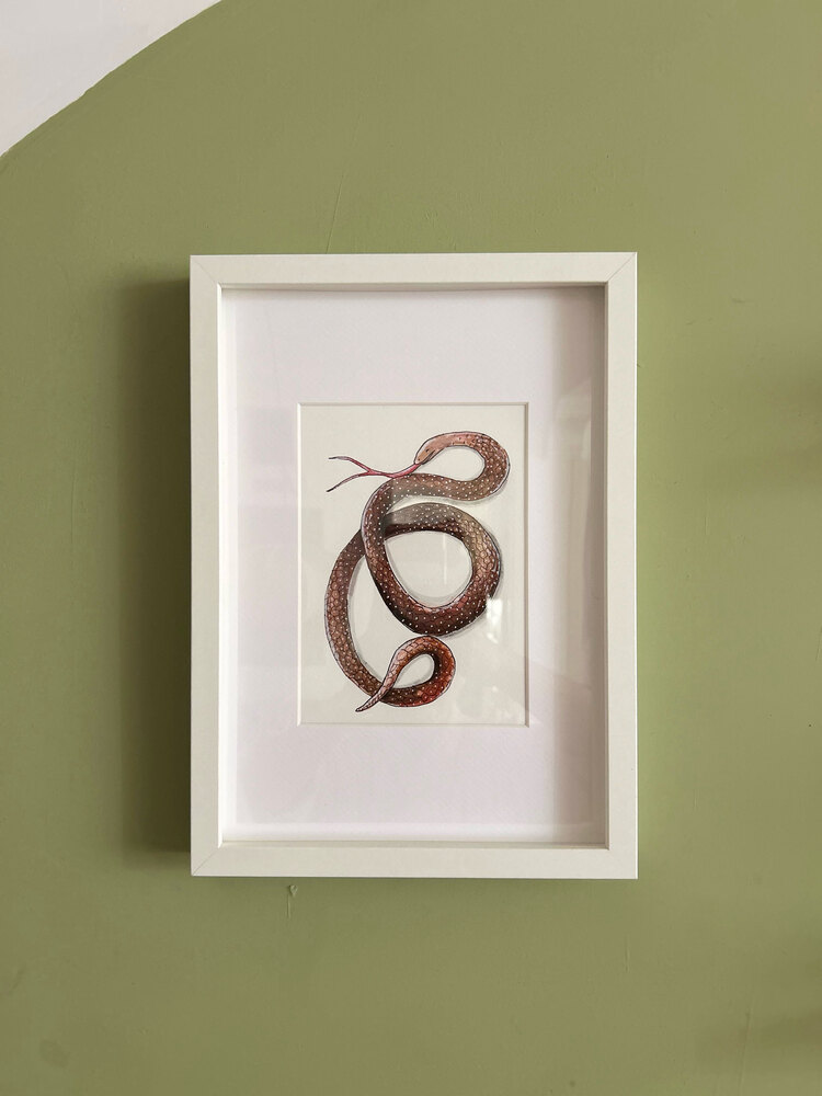 Snake