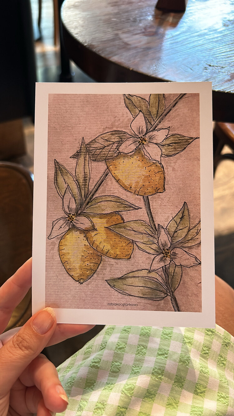 Lemon Garden / Kartpostal