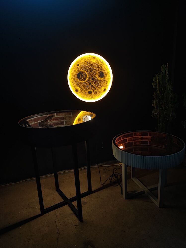 Moon Wall Decor