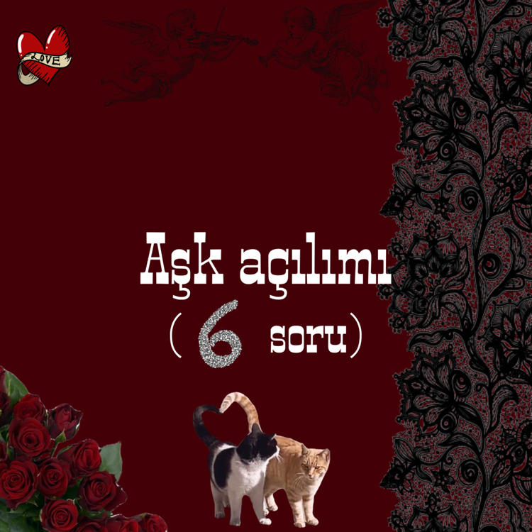 Aşk Açılımı 6 Soru