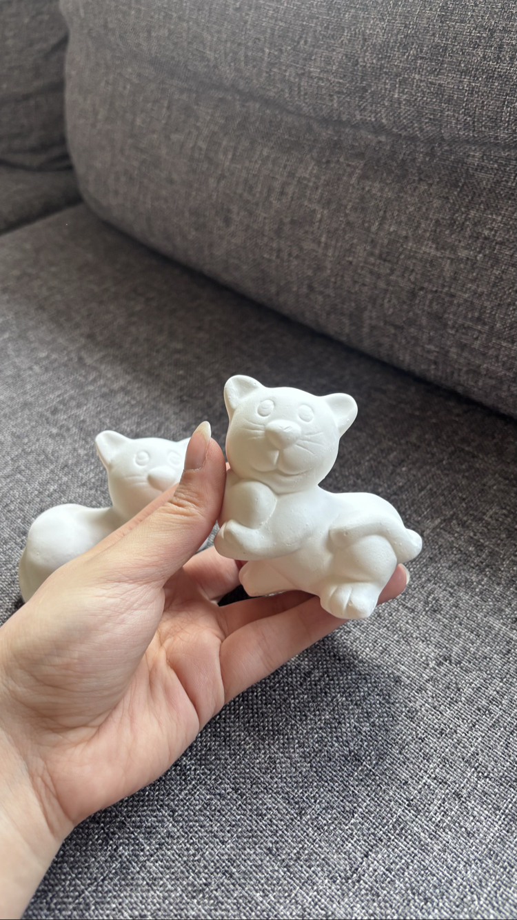 Kedi Çift