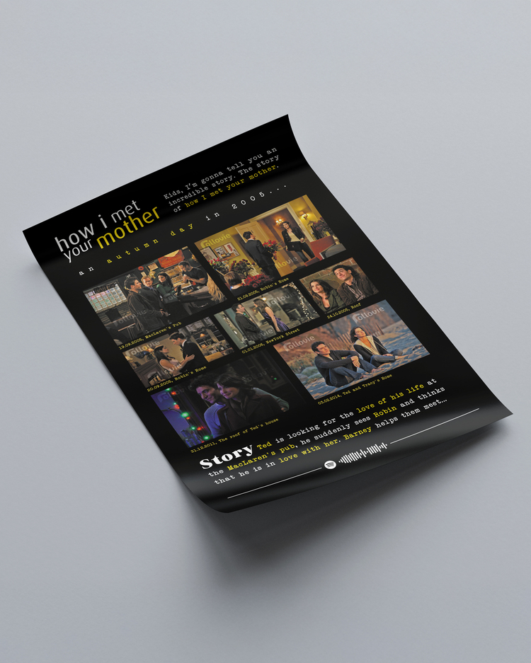 How I Met Your Mother (Ted-Robin) Anılar Posteri