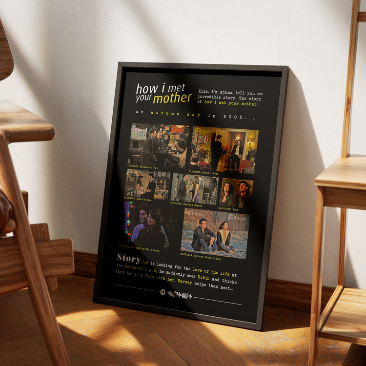 How I Met Your Mother (Ted-Robin) Anılar Posteri