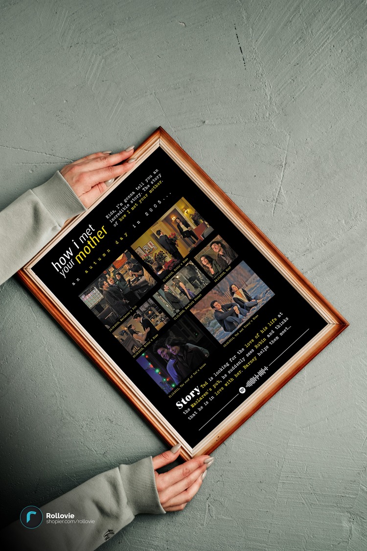 How I Met Your Mother (Ted-Robin) Anılar Posteri