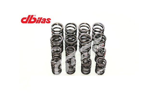 Dbilas VAG valf yayları kiti mekanik + hidro VW 1.5 - 2.0 Litre 8V 62.300.001