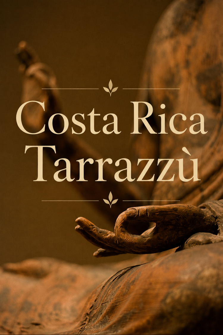 Costa Rica Tarrazú Washed – Single Origin Filtre Kahve | 250 g.
