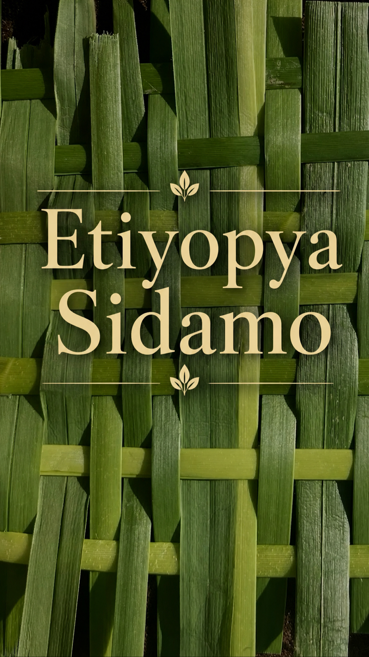 Ethiopia Sidamo gr 4 - Single Origin Filtre Kahve | 250 g.