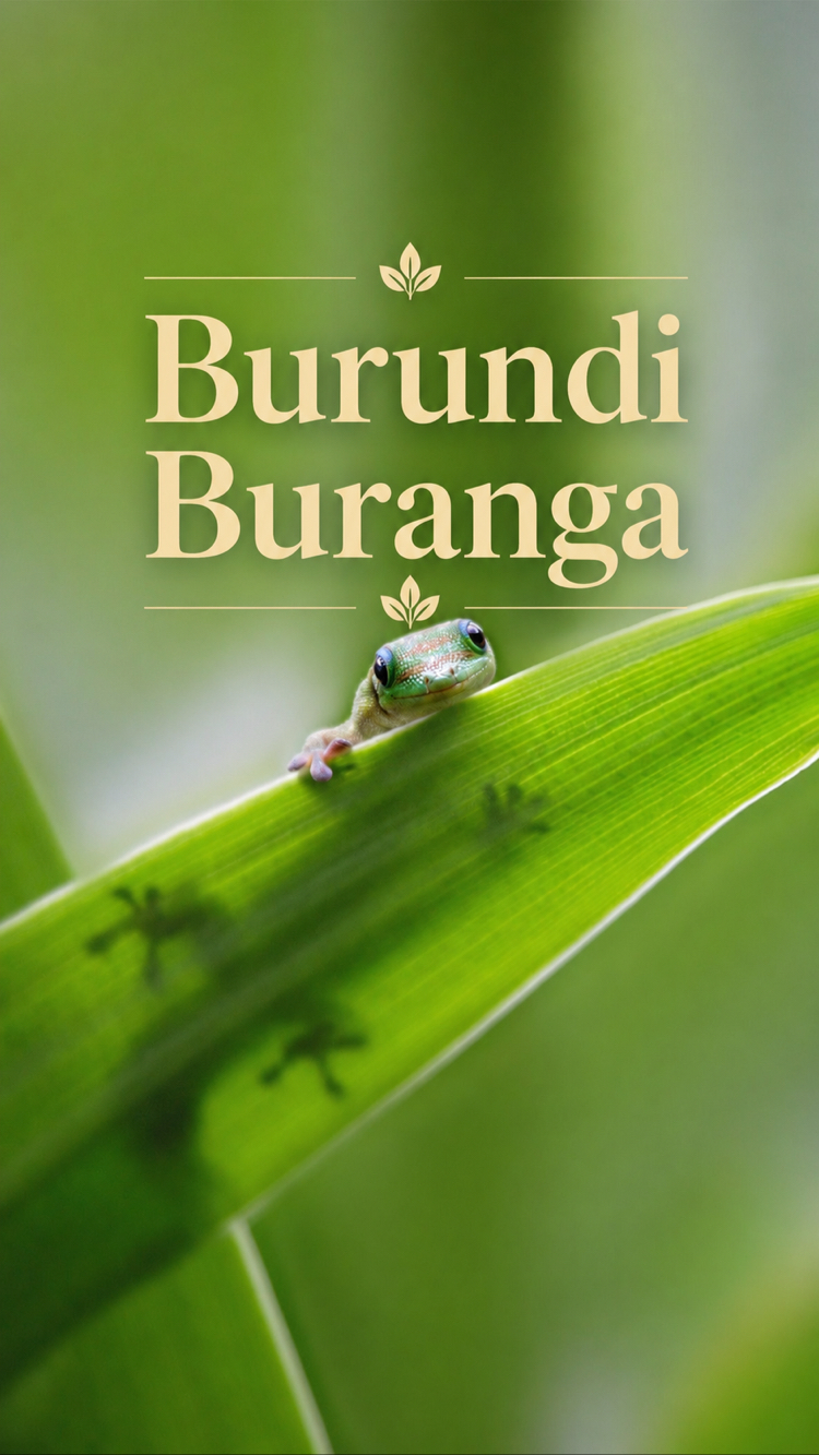 Burundi Buranga - Single Origin Filtre Kahve | 250 g.