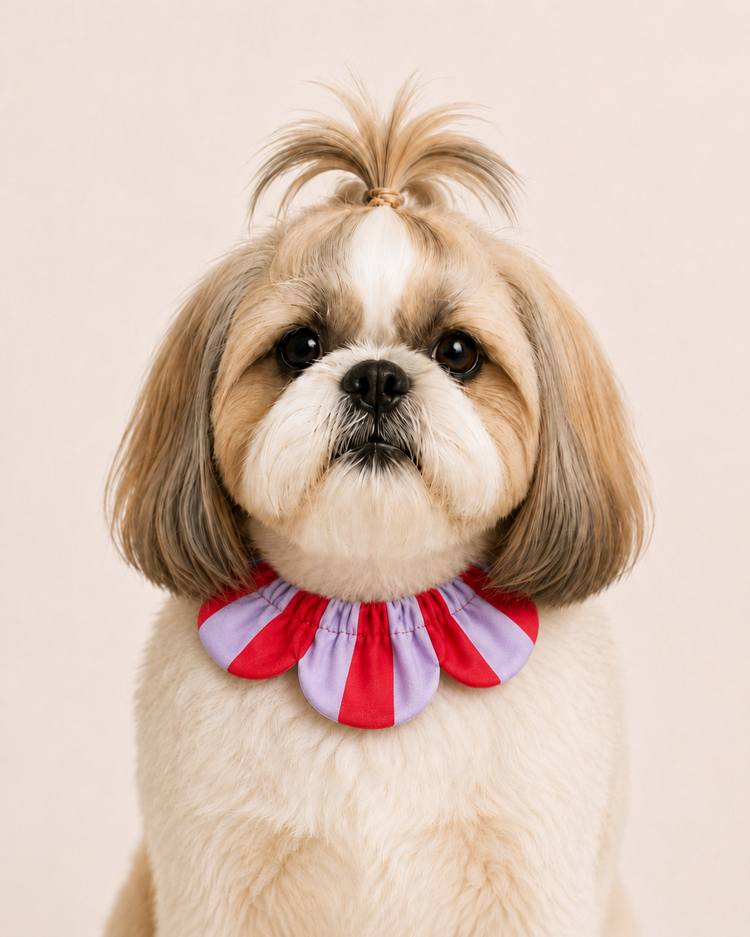 PawBow Flower Dog Collar (red lilac stripe)