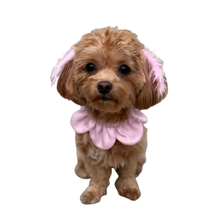 Markamızın İmzası: Çiçek Formlu Köpek Yakalığı
