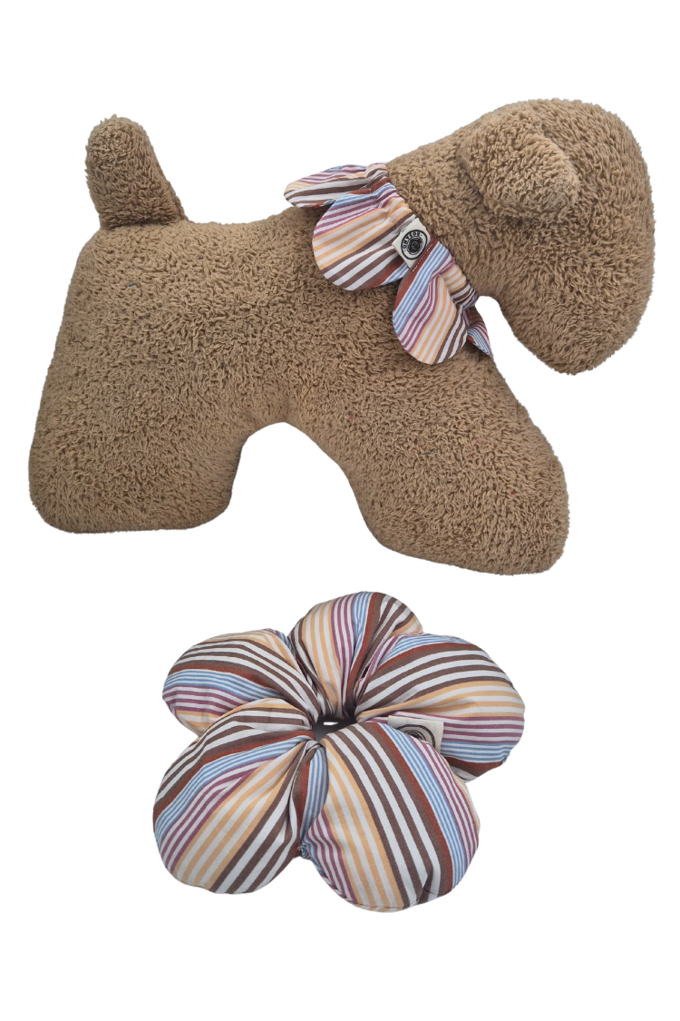 Dog ve Mum Set (Colourful Stripe)