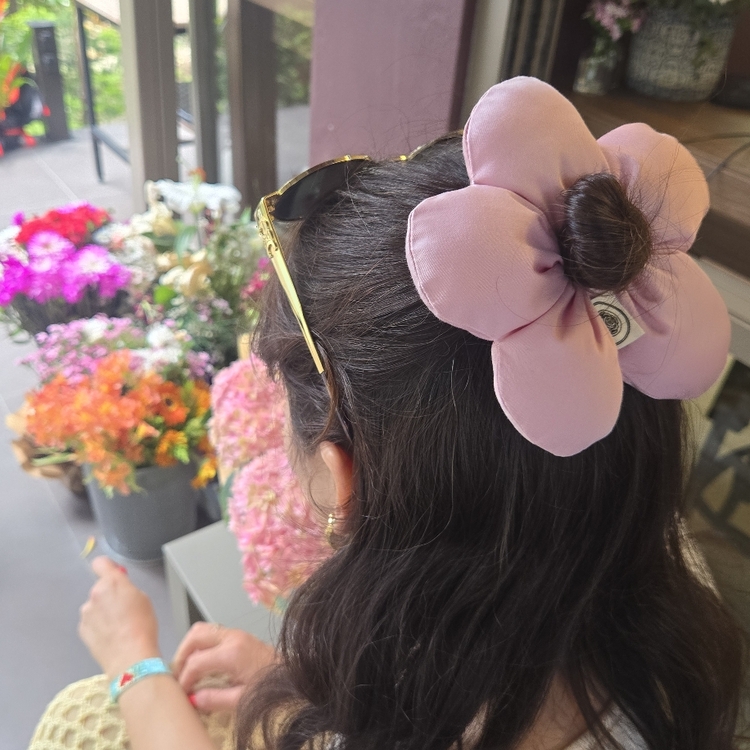 Mini Blooming Daisy (Babypink)