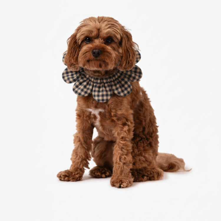 PawBow Flower Dog Collar (Navy Gingham)