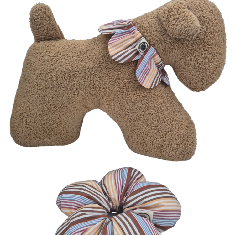 Dog ve Mum Set (Colourful Stripe)